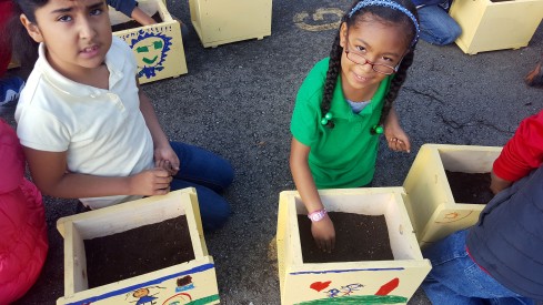 Students plant vegetable seeds