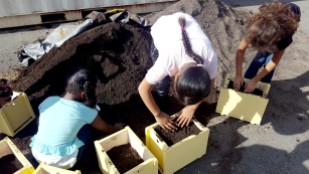 Students pack soil into their planter boxes